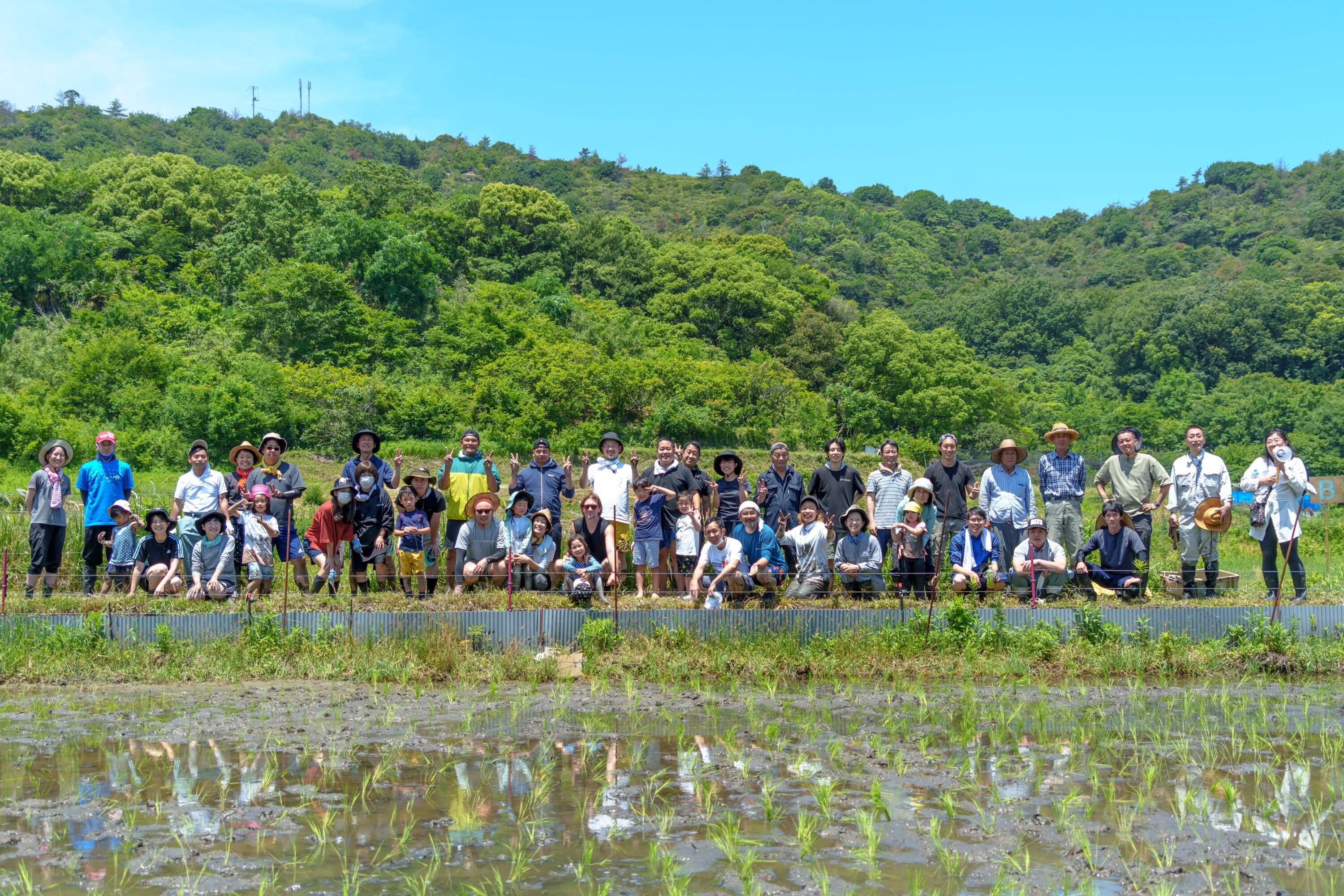 コメの体験「田植え」