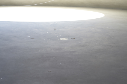 豊島美術館 朝の特別鑑賞プログラム体験記<br>（2019年4月14日）