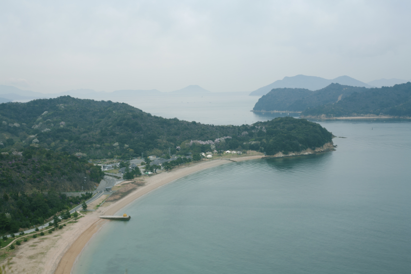 寄稿「消費されない島」中村剛士